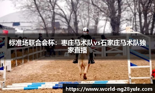 南宫28(NG28)平台